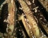 なすのひき肉あんかけ作り方4写真