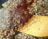 ごぼうとひきにくのそぼろあんかけ焼御飯。作り方15写真