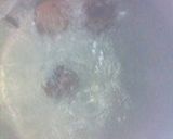 骨まで食べれる・イワシと梅干しの生姜煮作り方3写真