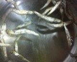 具だくさんの味噌汁・ビタミンいっぱい！作り方3写真