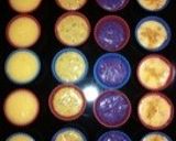 １つの生地から色々フィナンシェ作り方6写真