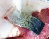 鯖の竜田揚げ‼作り方2写真