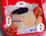運動会のお弁当　キャラ弁作り方5写真