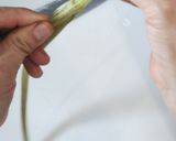 ふきの下茹で〜保存方法作り方4写真