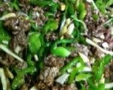 簡単・青椒肉絲/オイスターソースで本格味作り方7写真