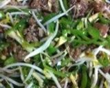 簡単・青椒肉絲/オイスターソースで本格味作り方9写真