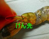 どっちにするっ？★海老チリor海老マヨ作り方1写真