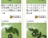 ピーマンのヘタと種を簡単に取る切り方作り方5写真