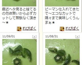 ピーマンのヘタと種を簡単に取る切り方作り方5写真