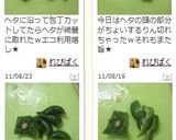 ピーマンのヘタと種を簡単に取る切り方作り方6写真
