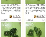 ピーマンのヘタと種を簡単に取る切り方作り方6写真