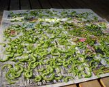 ゴーヤーの佃煮☆彡作り方2写真