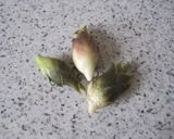 みょうがのかき玉汁作り方1写真