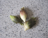 みょうがのかき玉汁作り方1写真