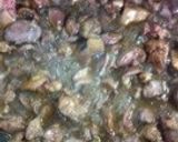 甘辛味が美味！厚揚げ入りニラレバー炒め作り方4写真
