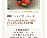 きゅうりとミニトマトの簡単サラダ作り方6写真
