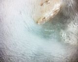 ★超簡単配合！美味しいタレで叉焼卵★。*作り方3写真