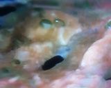簡単★天津飯又はかに玉作り方4写真