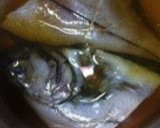本格宿の味・カレイの煮付け/野菜添え作り方3写真