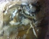 本格宿の味・カレイの煮付け/野菜添え作り方4写真