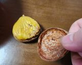 栗　品種ぽろたんの簡単な皮のむきかた作り方4写真