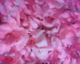 簡単★手作り餃子を作ろう~♪うちごはん編作り方4写真