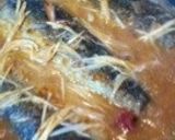 ホントに美味しい サバの味噌煮作り方5写真