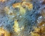 外はカラッと中はジューシー・鶏の天ぷら作り方5写真