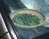 干しマイタケくん　wa お車の中で♪作り方6写真