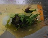 モミモミ白菜作り方5写真