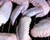 昆布塩でうま味たっぷり/簡単手羽先焼き作り方2写真