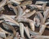 ハゼニンニク作り方6写真