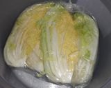 キムチ風～白菜のコチュジャン漬け作り方1写真