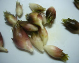保存　みょうがの塩漬け作り方1写真