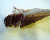 フライパンで簡単！　かつおのタタキ作り方7写真