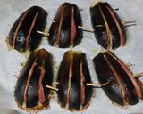 茄子のベーコンはさみ焼き作り方4写真