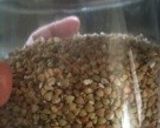 蕎麦ご飯作り方1写真