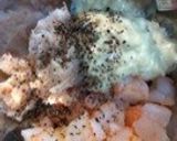 簡単！ごちそう前菜♪作り方5写真