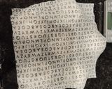 手ごねde基本の丸パン作り方8写真