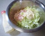 鶏ミンチとキャベツのタルタル餃子作り方1写真