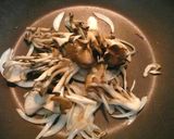 自炊生活応援　煮込みハンバーグ作り方6写真