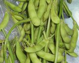 夏だ！お店やレストランと同じ枝豆の茹で方作り方1写真