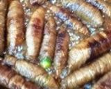 肉巻き・牛肉編 お弁当にも(^-^)/作り方4写真