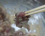 鴨筍治部煮作り方10写真