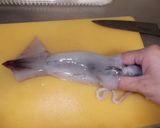 いかと豆腐の煮物作り方2写真