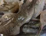 ハゼネギ さっぱり甘酢味作り方7写真