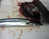 骨まで美味しい♥秋刀魚の甘露煮作り方1写真