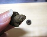 オリーブの種の取り方!作り方5写真