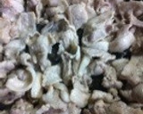 ふわふわお好み焼き・本場関西の泉州焼き作り方8写真