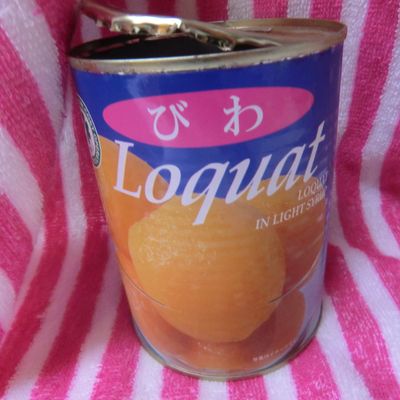 ☆びわのパンナコッタ☆ミキサー使用 by るらちゃん 【クックパッド